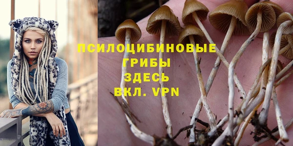 прущая мука Верея